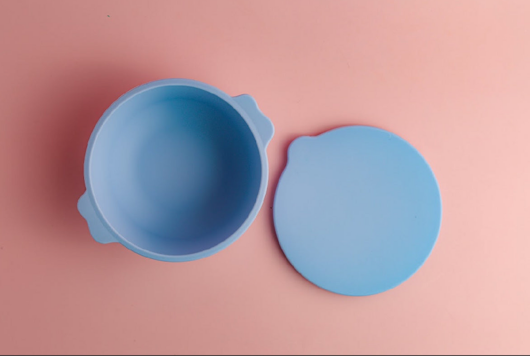 Silicone Bowl With Lid